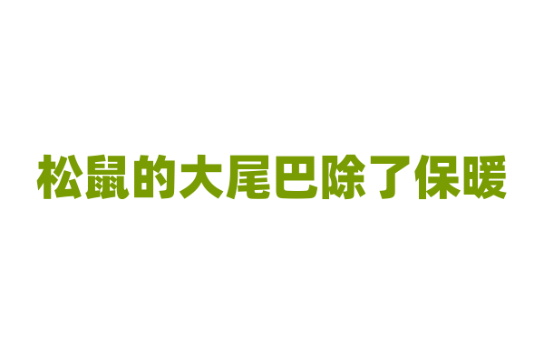 松鼠的大尾巴除了保暖，还有什么功能？