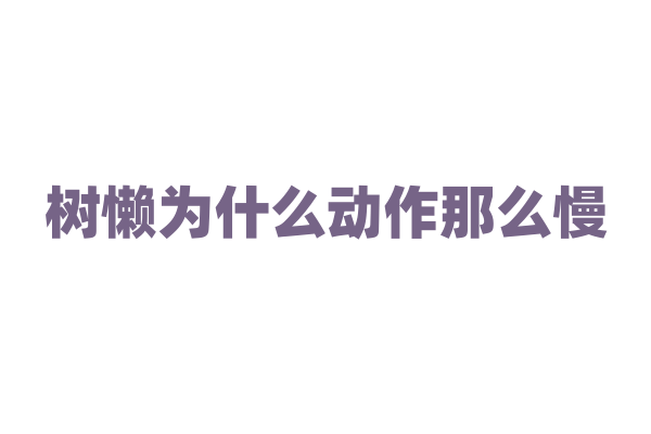 树懒为什么动作那么慢，它的生活习性和生理特征有什么关联？