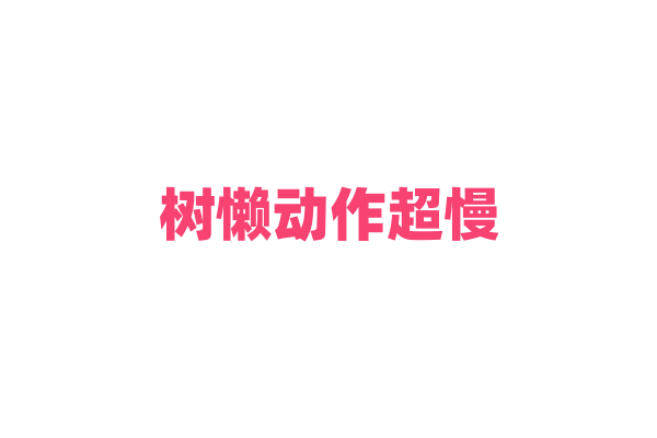 树懒动作超慢，背后有何生存智慧？
