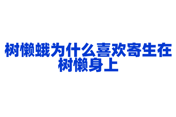 树懒蛾为什么喜欢寄生在树懒身上，它们之间的共生关系是怎样的？