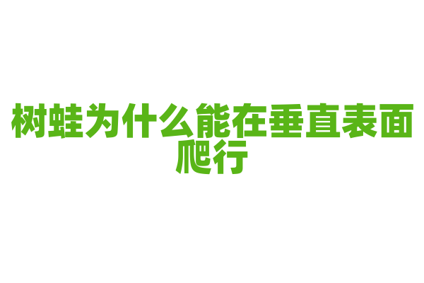 树蛙为什么能在垂直表面爬行，它的脚趾结构和吸附原理是什么？