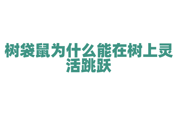 树袋鼠为什么能在树上灵活跳跃，它的身体结构与普通袋鼠有何不同？