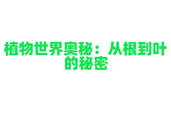 植物世界奥秘：从根到叶的秘密