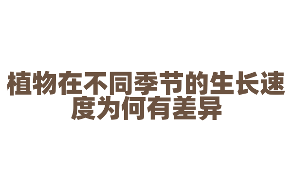 植物在不同季节的生长速度为何有差异？