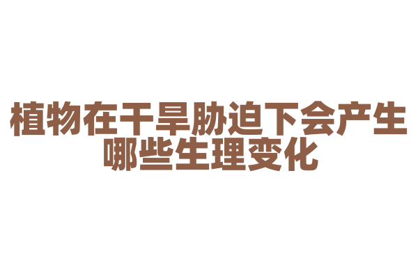 植物在干旱胁迫下会产生哪些生理变化？