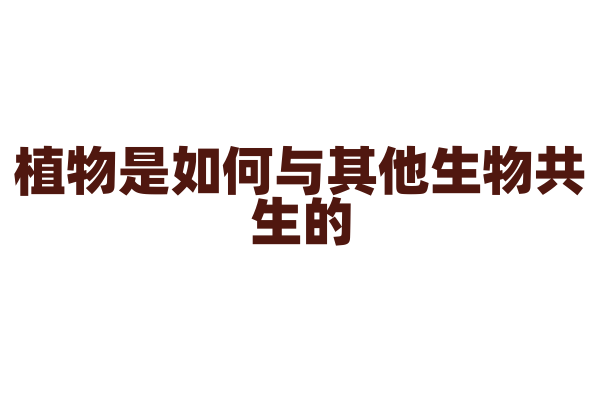 植物是如何与其他生物共生的？