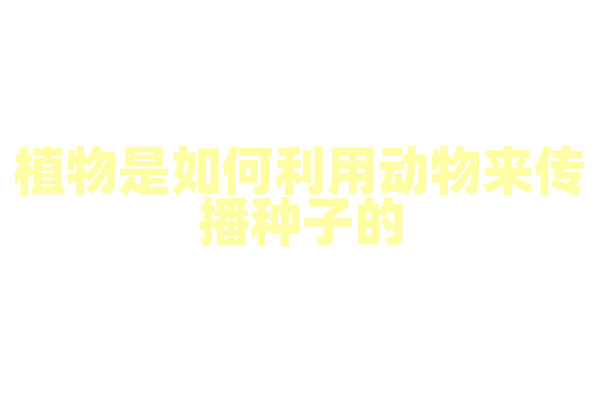 植物是如何利用动物来传播种子的？