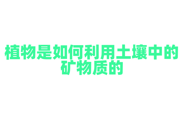 植物是如何利用土壤中的矿物质的？