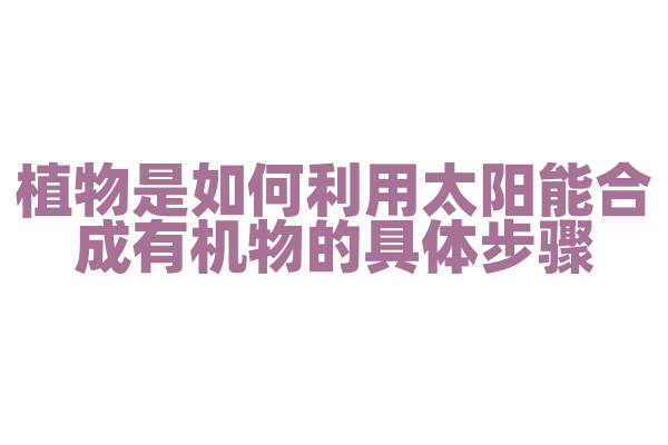 植物是如何利用太阳能合成有机物的具体步骤？