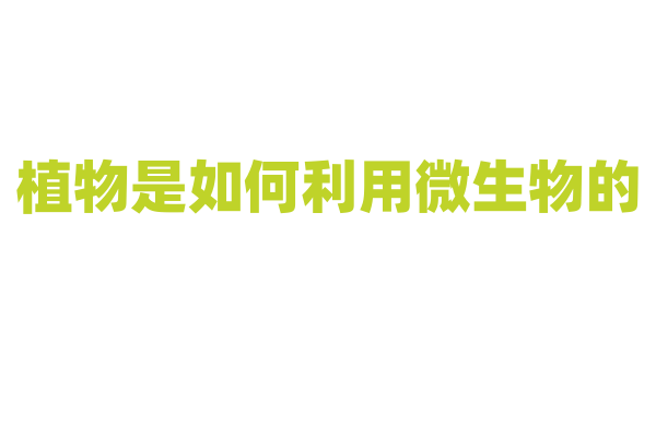 植物是如何利用微生物的？