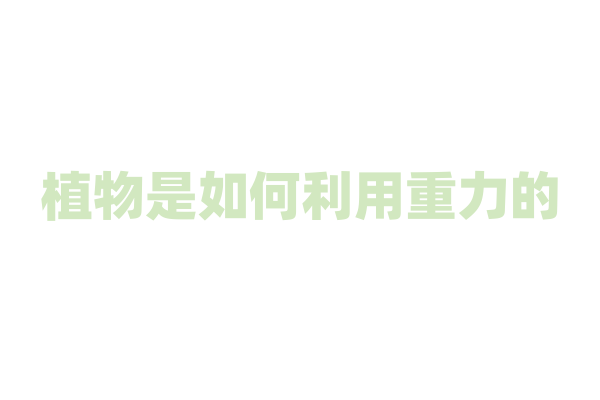 植物是如何利用重力的？