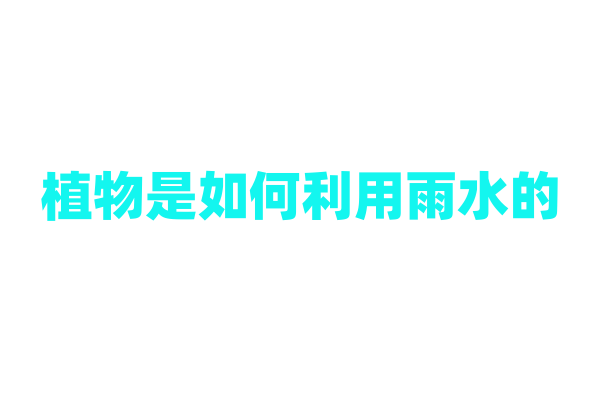植物是如何利用雨水的？