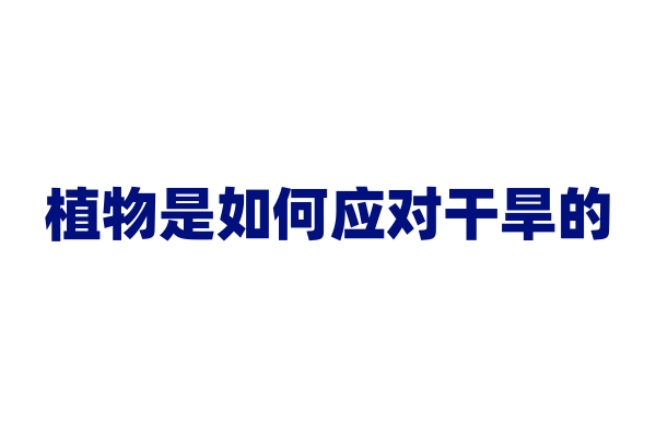 植物是如何应对干旱的？