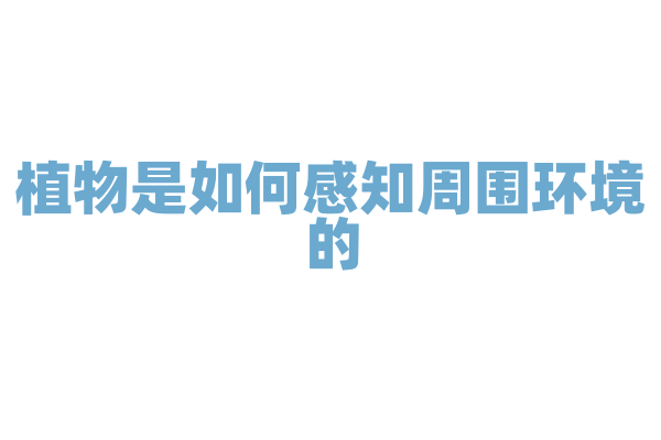 植物是如何感知周围环境的？