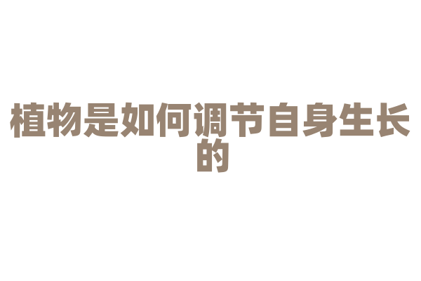 植物是如何调节自身生长的？