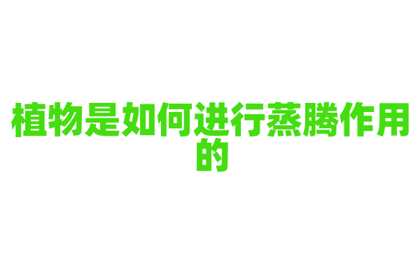 植物是如何进行蒸腾作用的？