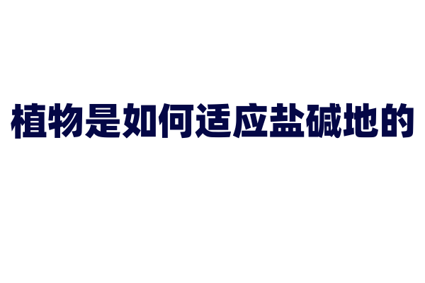 植物是如何适应盐碱地的？