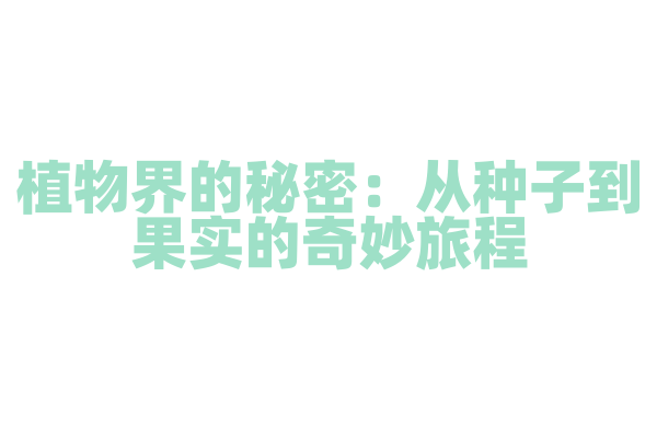 植物界的秘密：从种子到果实的奇妙旅程