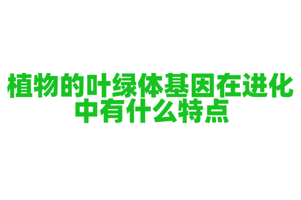 植物的叶绿体基因在进化中有什么特点？