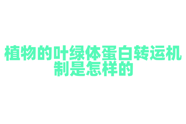 植物的叶绿体蛋白转运机制是怎样的？