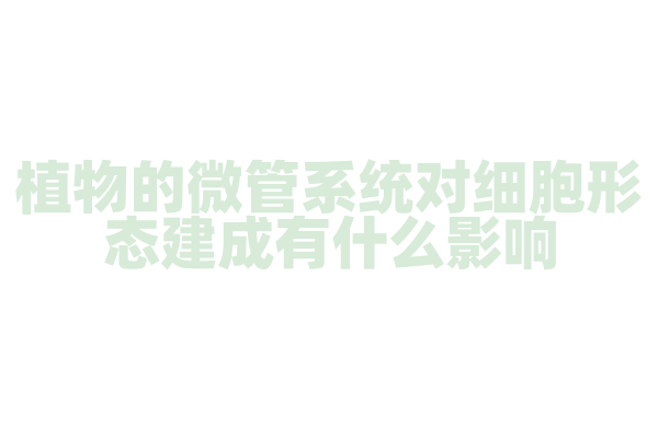 植物的微管系统对细胞形态建成有什么影响？