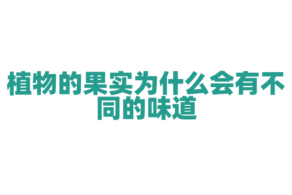植物的果实为什么会有不同的味道，酸、甜、苦、辣？