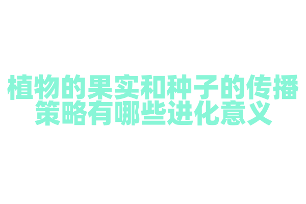 植物的果实和种子的传播策略有哪些进化意义？