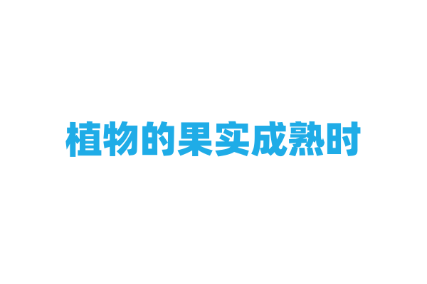 植物的果实成熟时，内部发生了哪些生理变化？