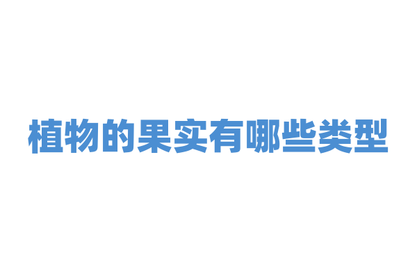 植物的果实有哪些类型？