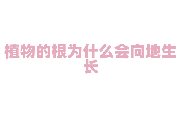 植物的根为什么会向地生长，茎却背地生长？