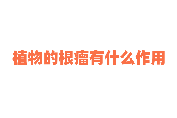 植物的根瘤有什么作用？