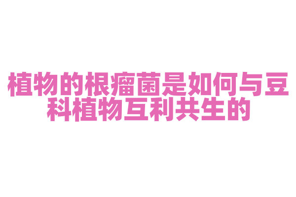 植物的根瘤菌是如何与豆科植物互利共生的？