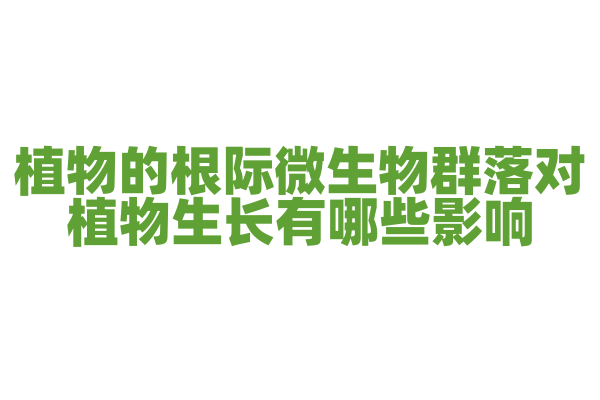 植物的根际微生物群落对植物生长有哪些影响？