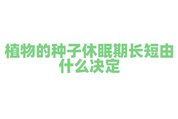 植物的种子休眠期长短由什么决定？