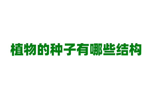 植物的种子有哪些结构？