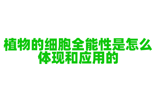 植物的细胞全能性是怎么体现和应用的？