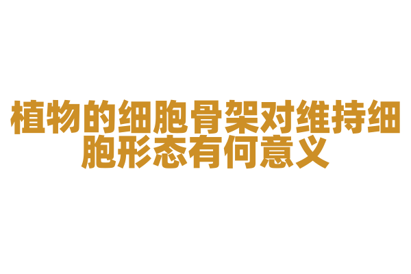 植物的细胞骨架对维持细胞形态有何意义？