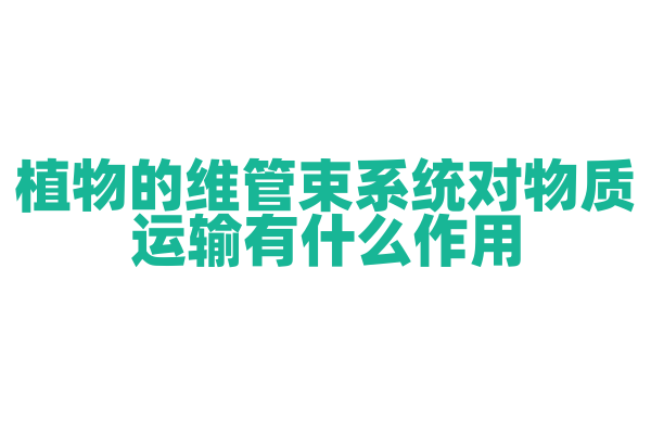 植物的维管束系统对物质运输有什么作用？