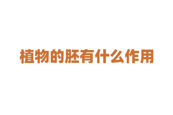 植物的胚有什么作用？