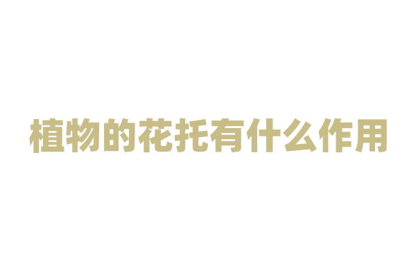 植物的花托有什么作用？