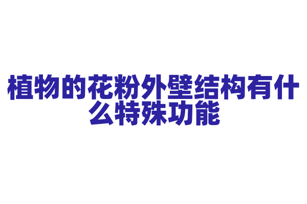 植物的花粉外壁结构有什么特殊功能？