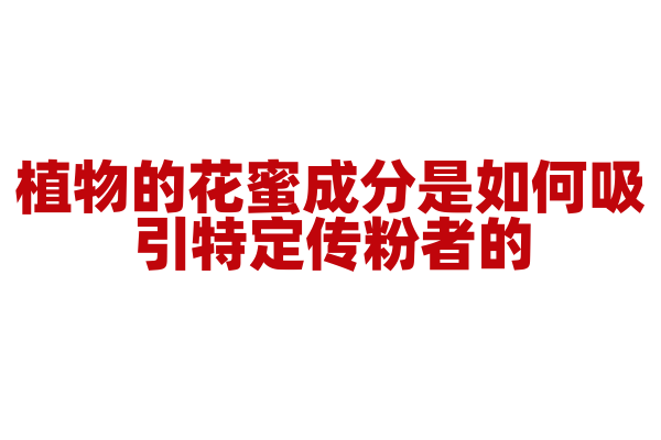 植物的花蜜成分是如何吸引特定传粉者的？