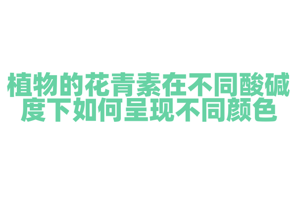 植物的花青素在不同酸碱度下如何呈现不同颜色？