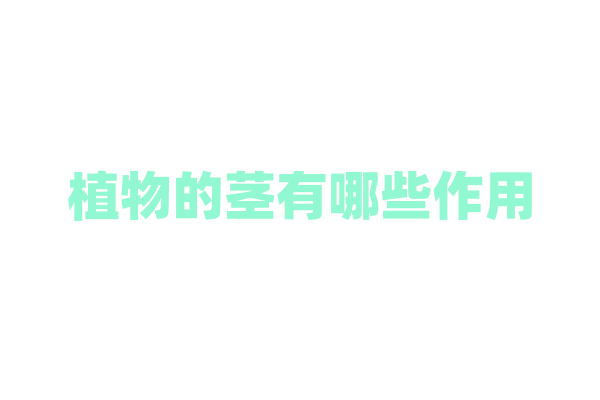 植物的茎有哪些作用？