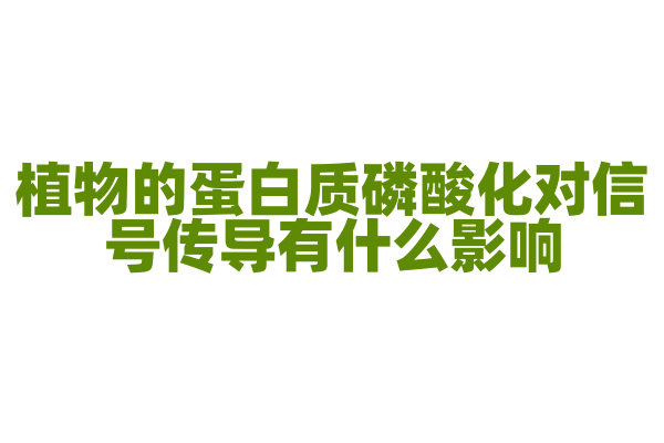 植物的蛋白质磷酸化对信号传导有什么影响？
