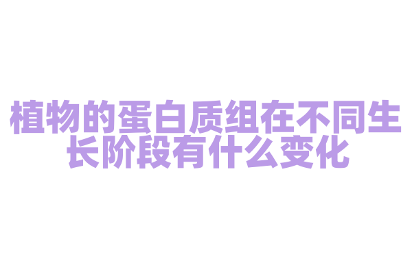 植物的蛋白质组在不同生长阶段有什么变化？