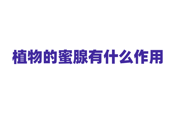 植物的蜜腺有什么作用？