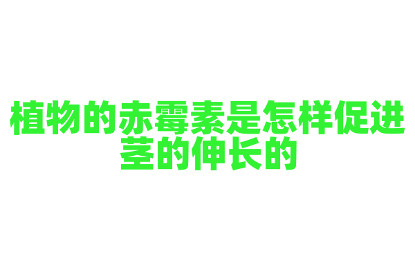 植物的赤霉素是怎样促进茎的伸长的？