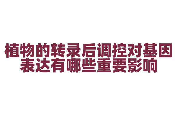 植物的转录后调控对基因表达有哪些重要影响？