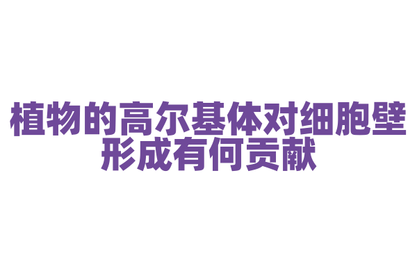 植物的高尔基体对细胞壁形成有何贡献？